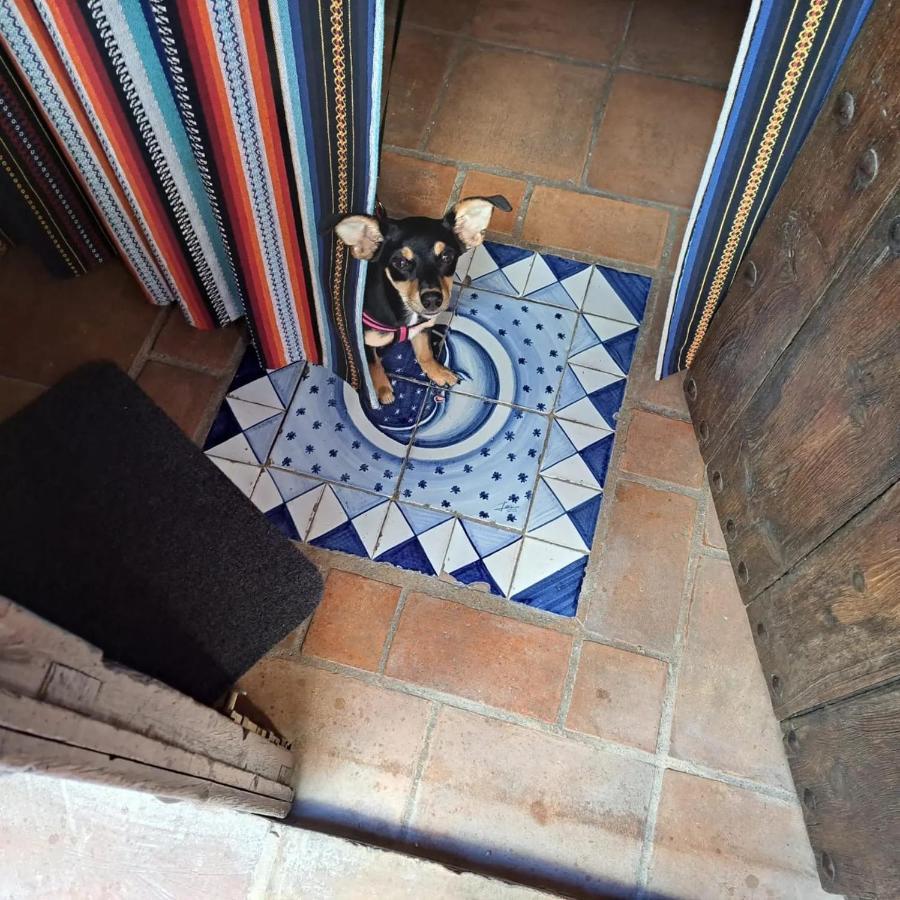 Can Lluna Tu Casa Zen Tárbena Exteriér fotografie