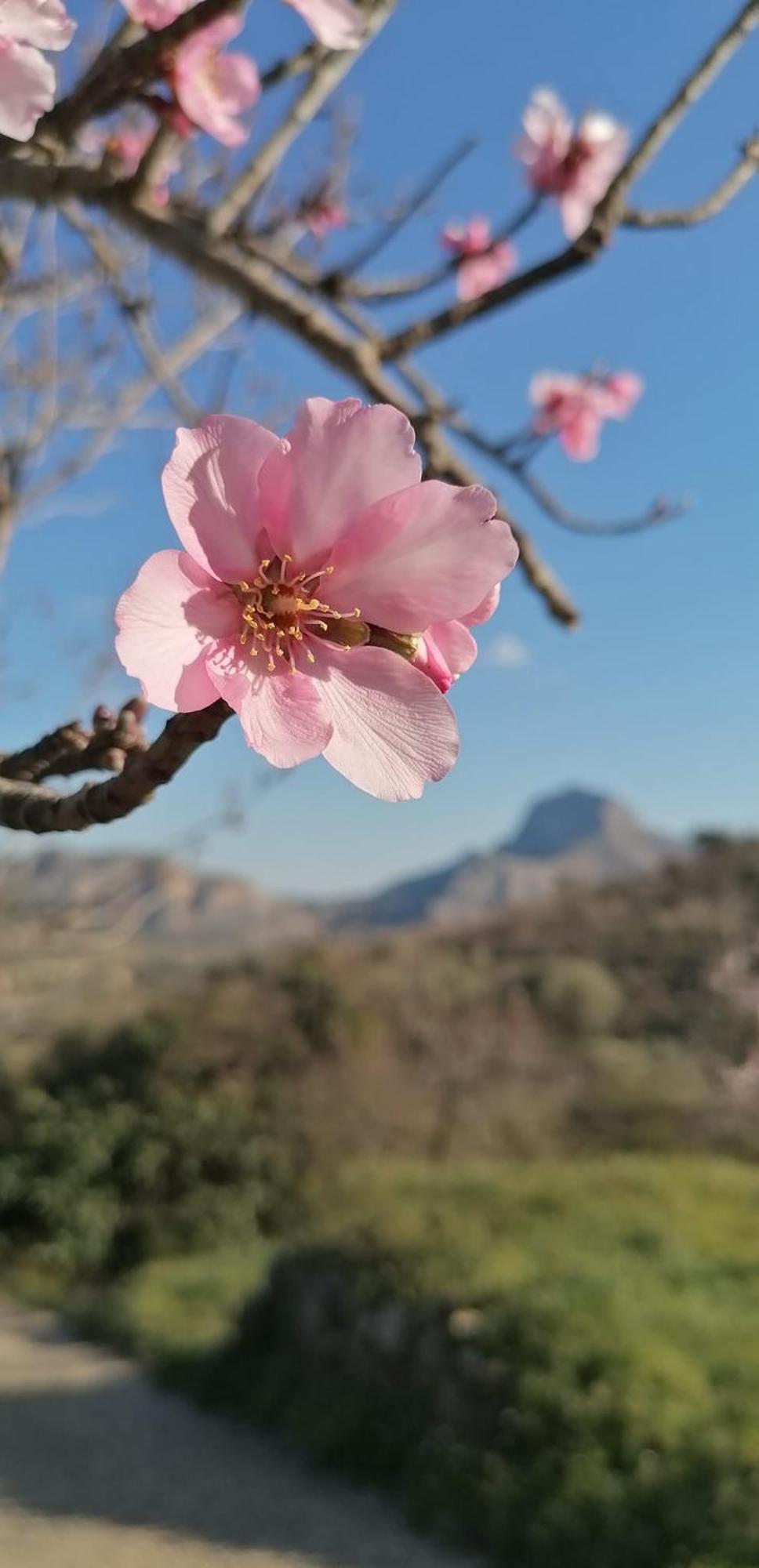 Can Lluna Tu Casa Zen Tárbena Exteriér fotografie
